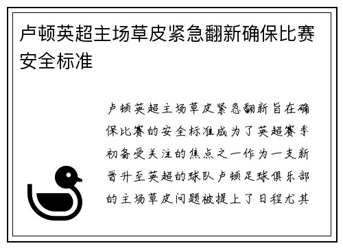 卢顿英超主场草皮紧急翻新确保比赛安全标准 卢顿英超主场草皮紧急翻新确保比赛安全标准